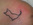 Kleine Tattoos hier